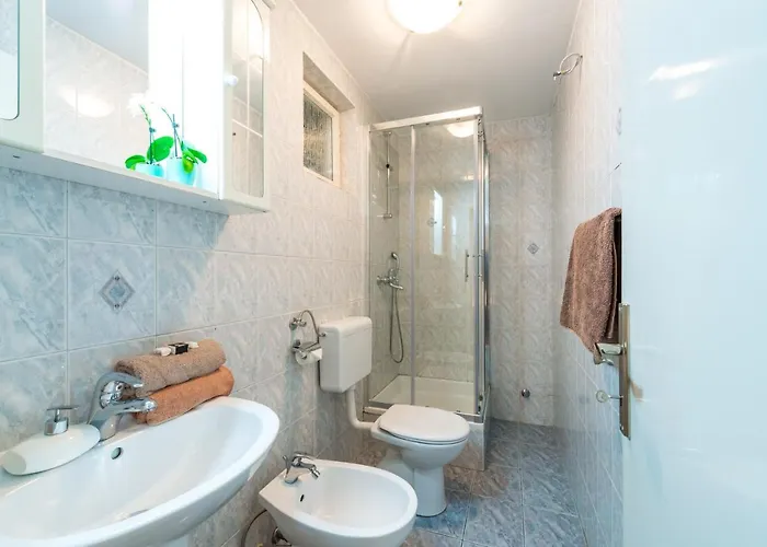 Amazing View And Dragan *